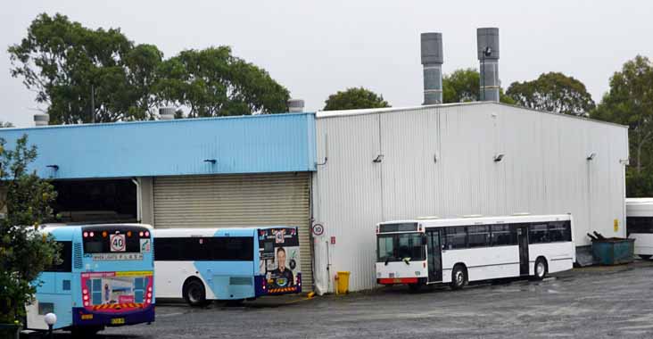 Busways Mercedes O405 Custom 439